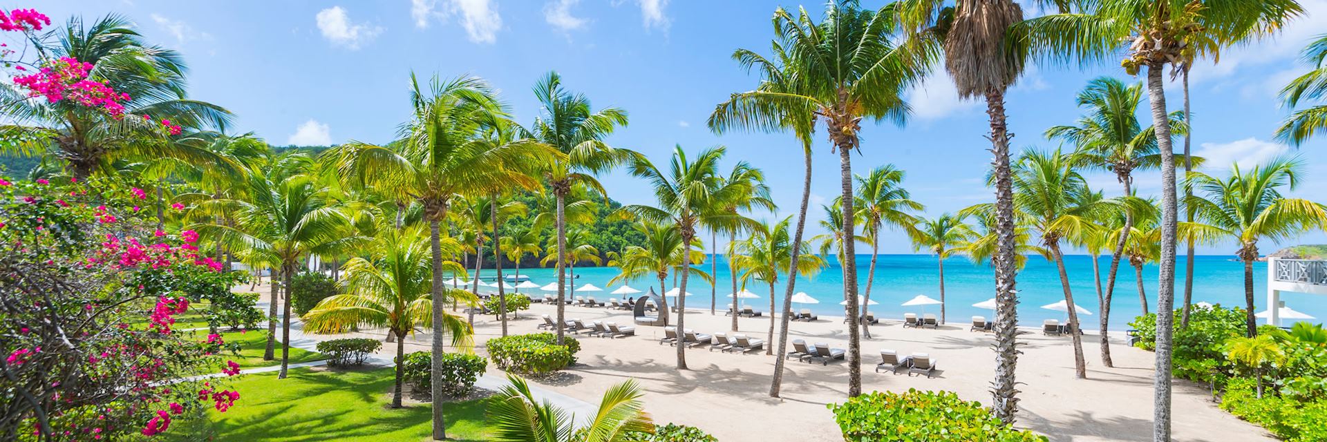 Carlisle Bay beach