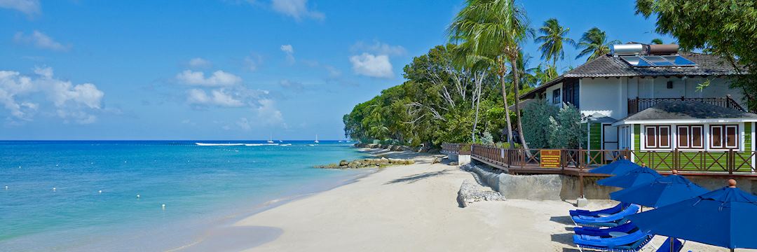 Promo [85% Off] Caribbean Frog Beautiful And Comfortable House Near To