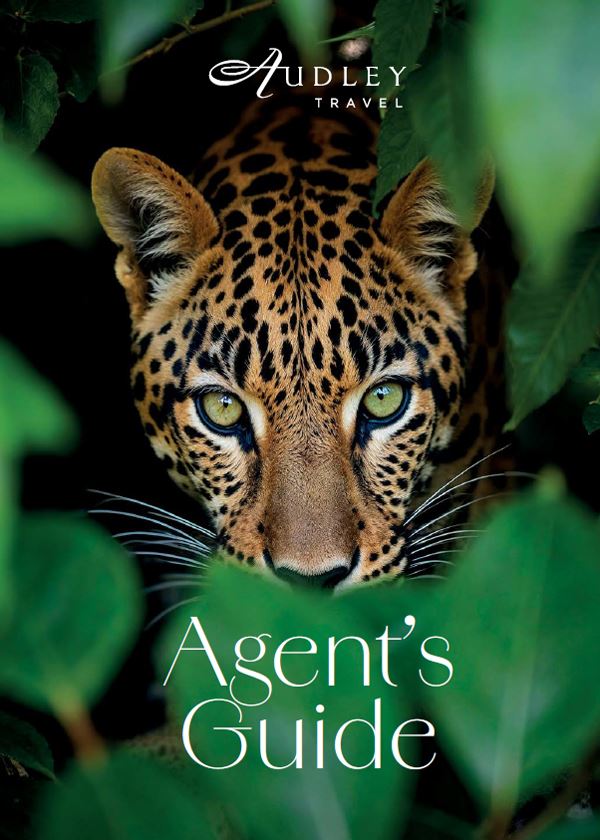 Agent's Guide