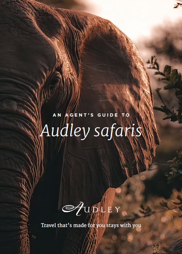 Audley safaris