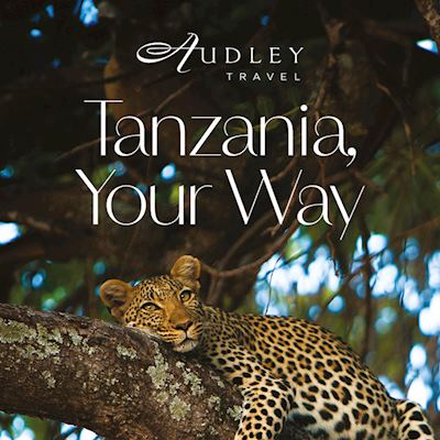 Tanzania 'A4' window poster
