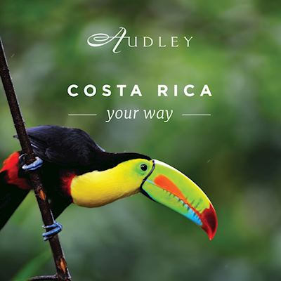 Costa Rica 'A4' window poster