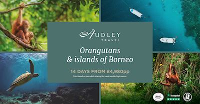 Orangutans & Islands of Borneo — Facebook