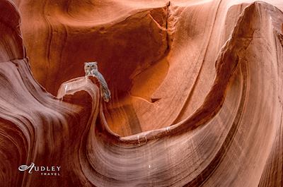 Arizona, USA — key destination image