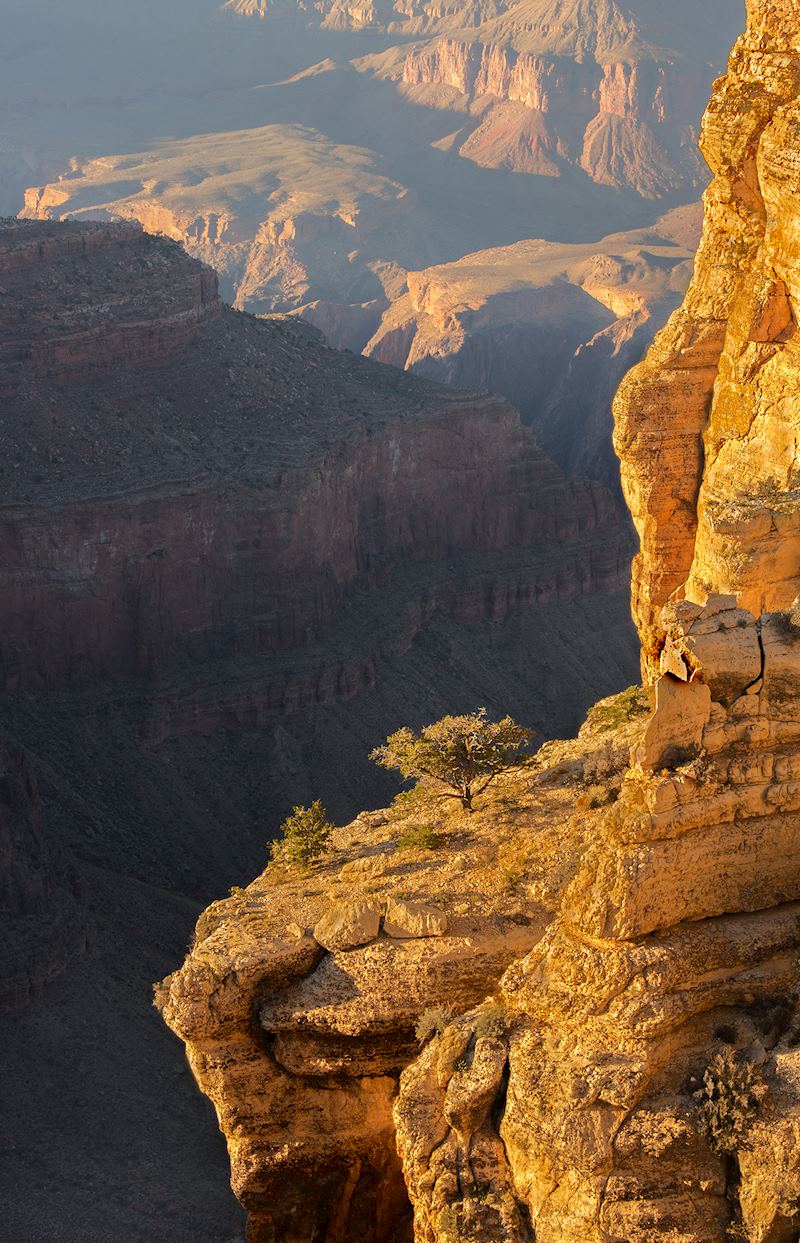Evening light at the Grand Canyon, Arizona USA