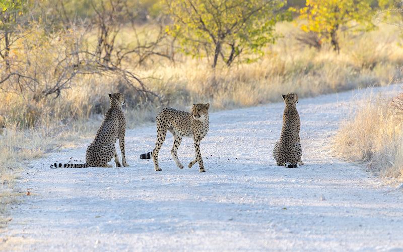 This week's winner, taken by Roger Clark