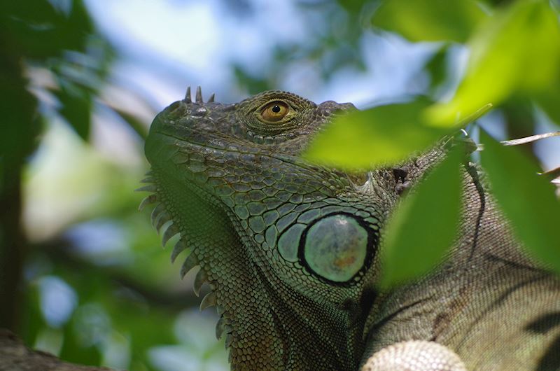 This week's winner, taken by Sandy Stockwell