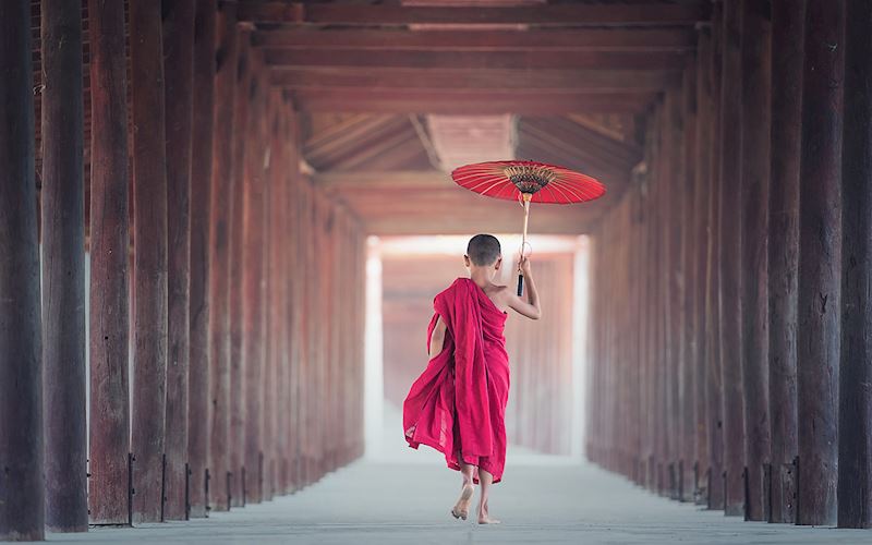 This week's winner, taken by Paul Watson