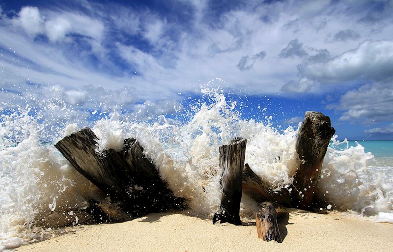 This week's winner, taken by Chris Mole