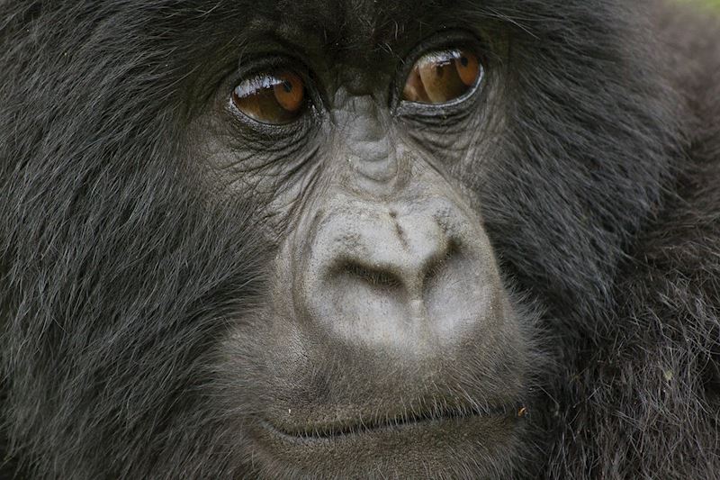 This week's winner, taken by Steve Bradshaw