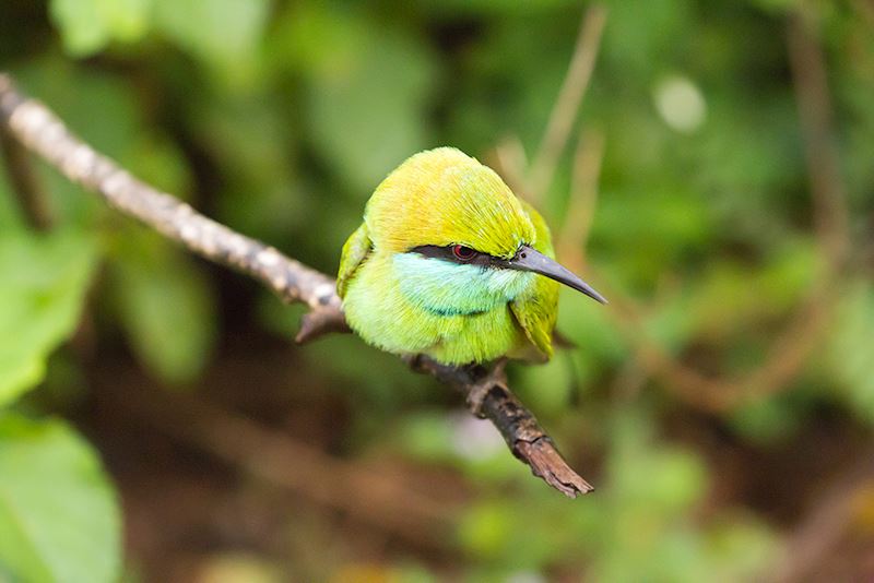 This week's winner, taken by Philip Simnett