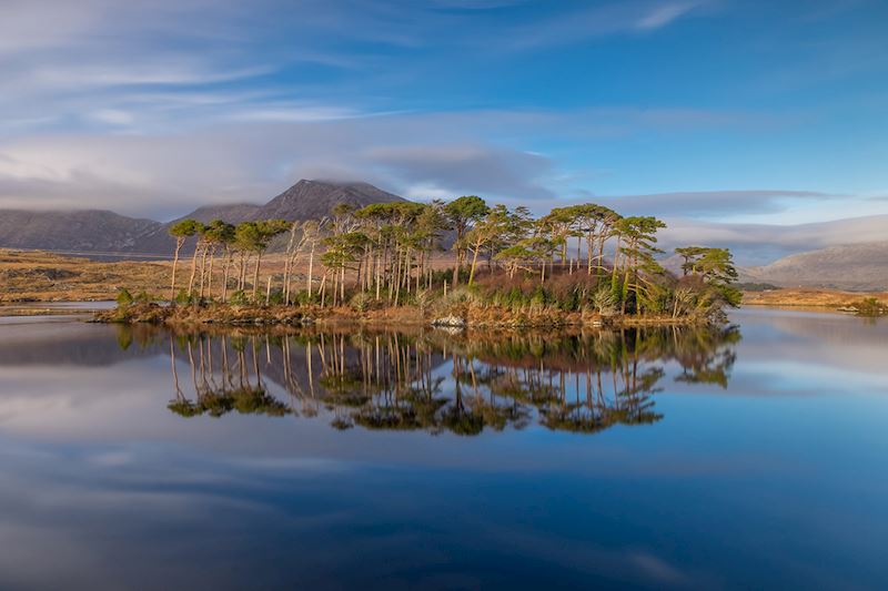 This week's winner, taken by Todor Tilev