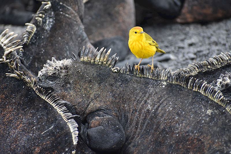 This week's winner, taken by Christine Nicklin
