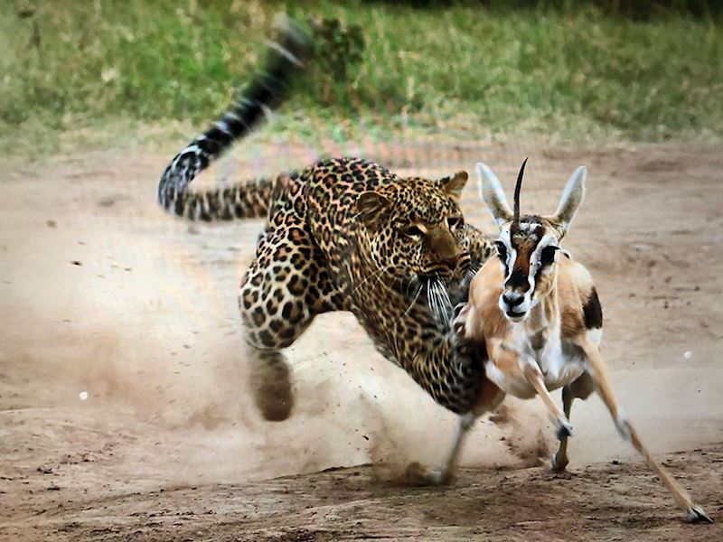 This week's winner, taken by Simon Hayes