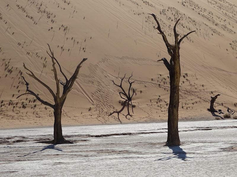 This week's winner, taken by John Gaunt