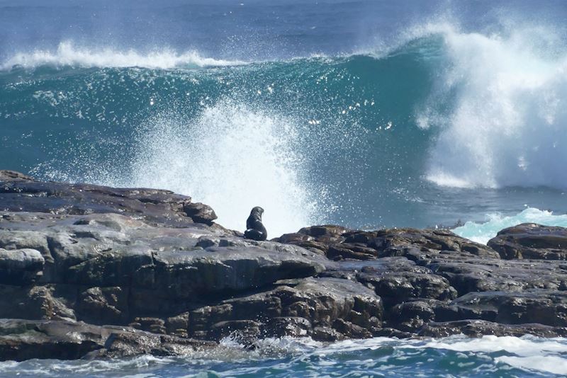 This week's winner, taken by Malcolm Wilkinson