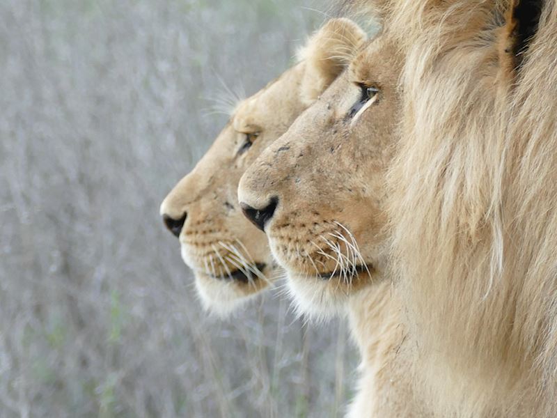 This week's winner, taken by Matthew Evans