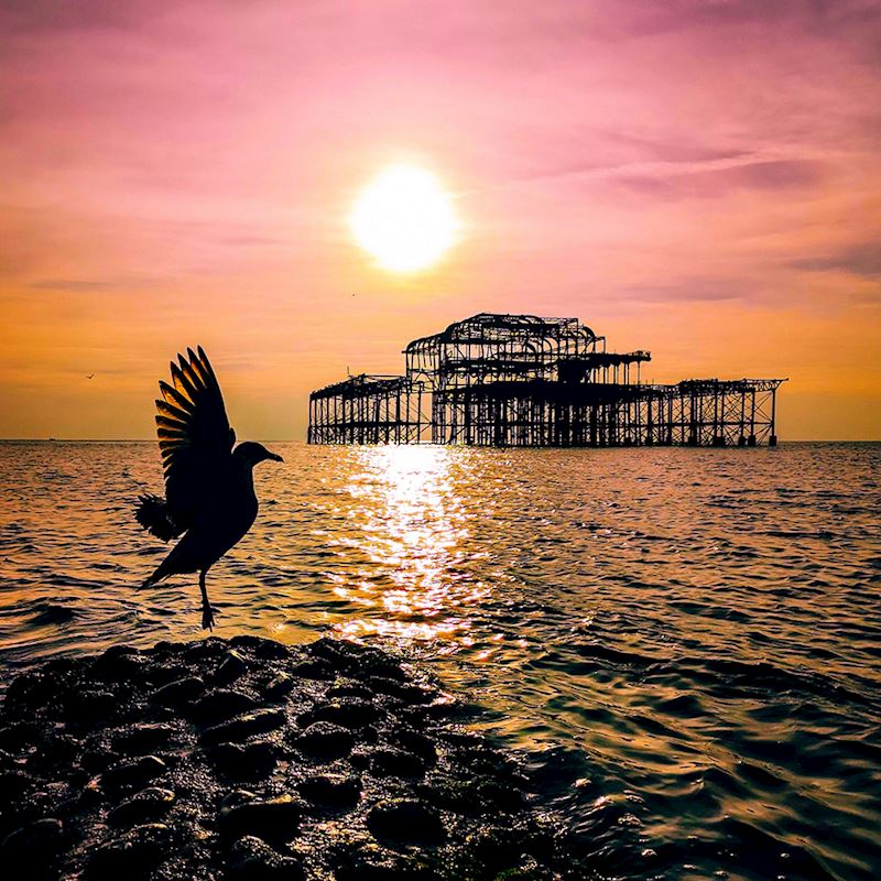 This week's winner, taken by Josh Taylor