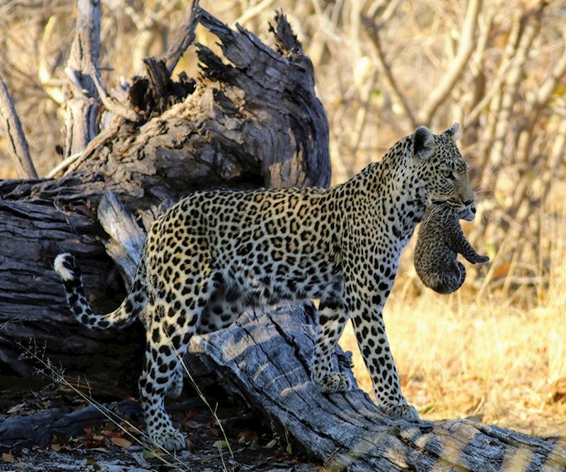 This week's winner, taken by Matt Prestwich