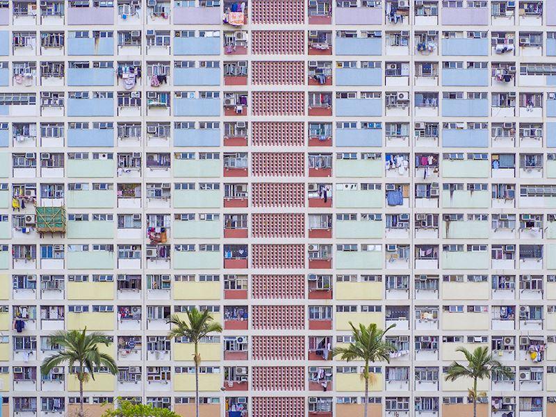 This week's winner, taken by Elizabeth Kelleher