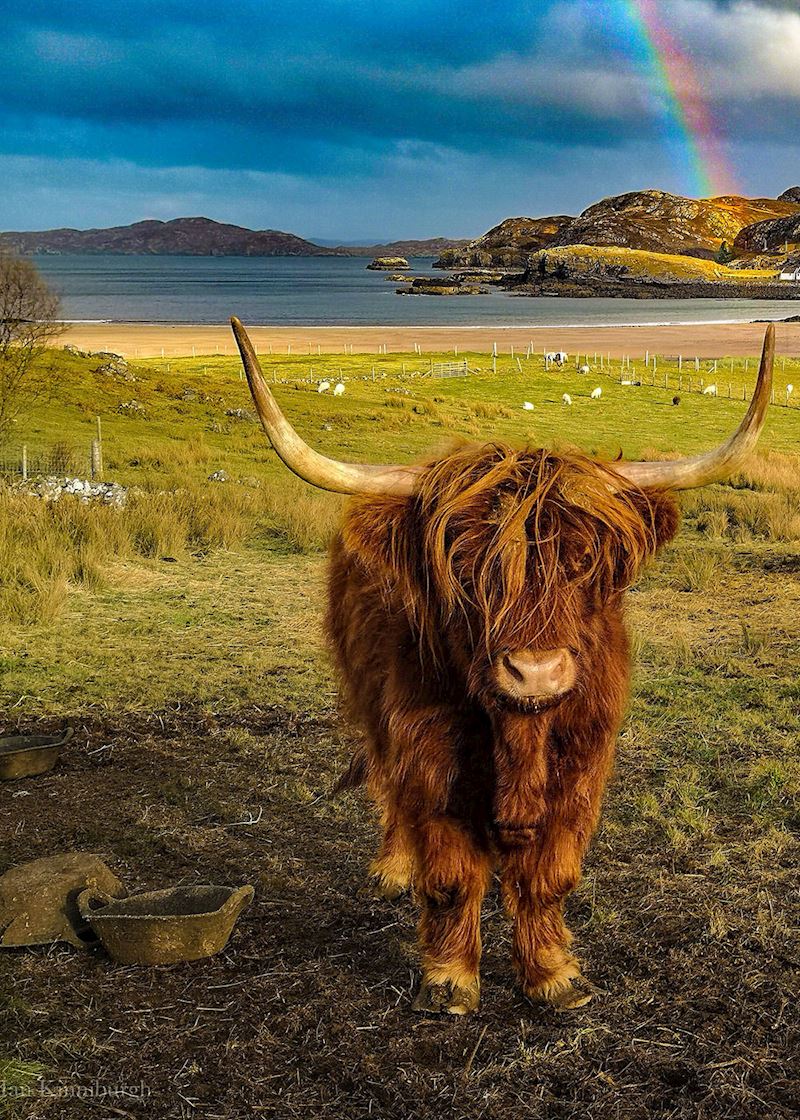 This week's winner, taken by Ian Kinniburgh
