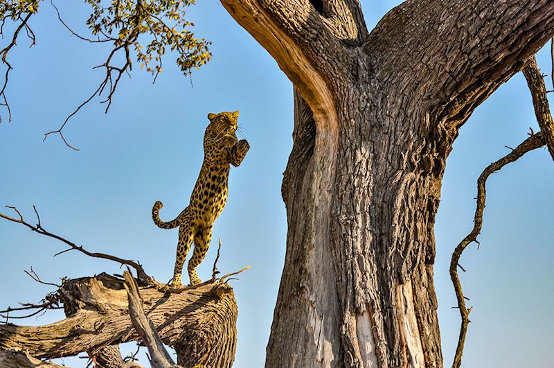 This week's winner, taken by Keith Tucker