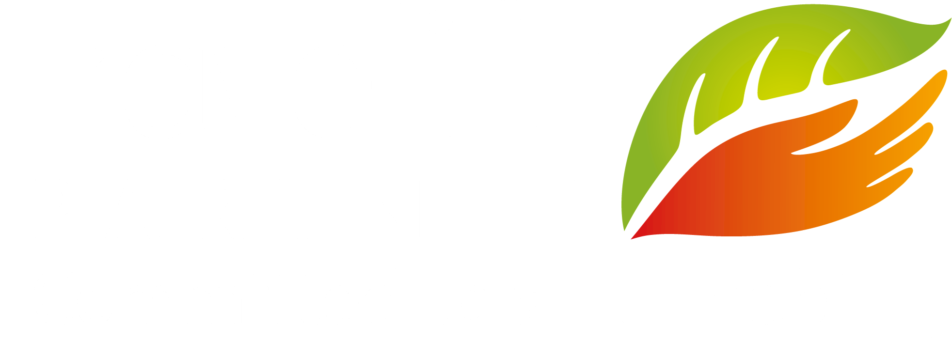 Travelife Partner Logo