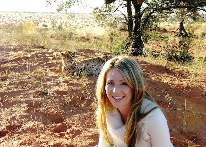 Arista in the Kruger National Park, South Africa