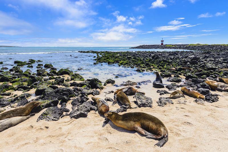 One of the foundation’s projects is to reduce plastic bag use on San Cristóbal in the Galapagos