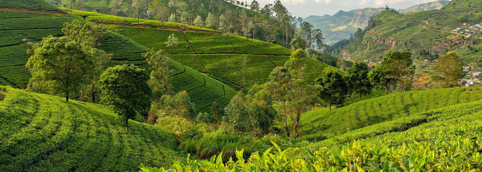 Nuwara Eliya, Sri Lanka