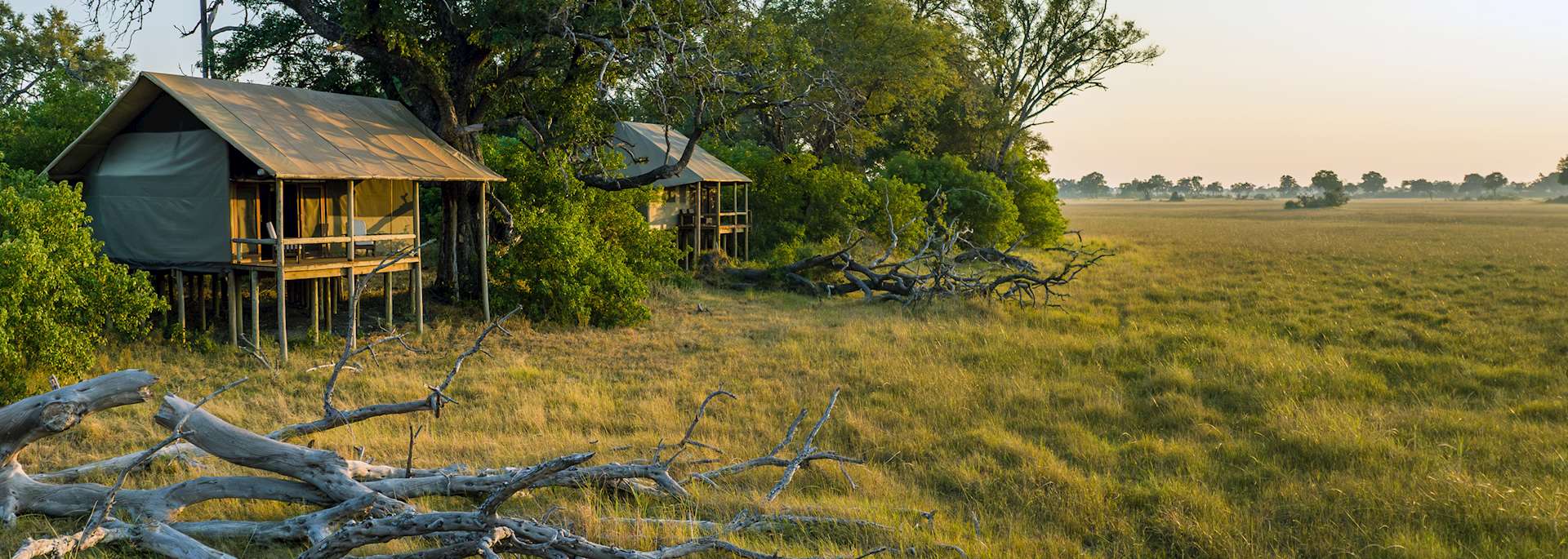 Mokolwane Camp