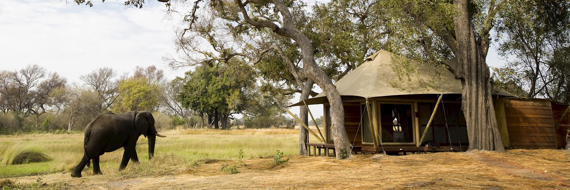 Xaranna Tented Camp