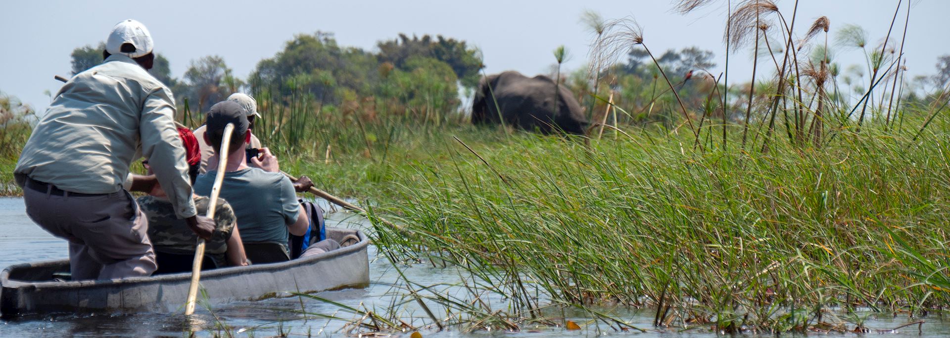 Mokoro trip in the Okavango Delta