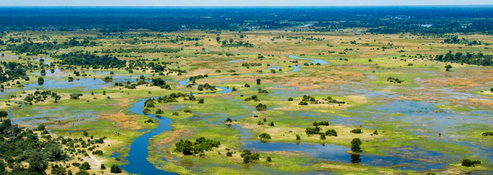 Okavango Delta