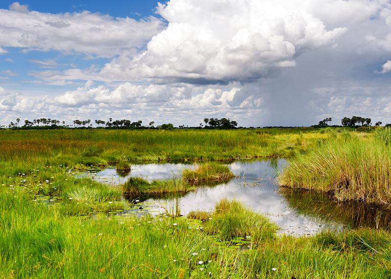 Linyanti Wetlands