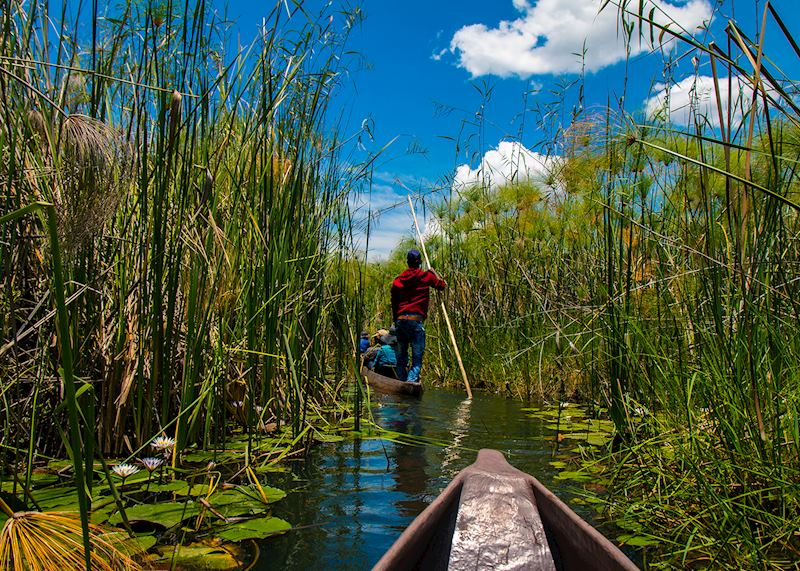 Mokoro (traditional canoe) boat trip in the Okavango Delta