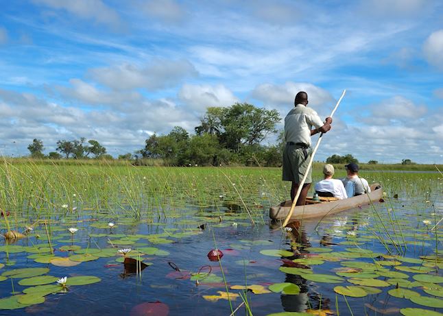 A mokoro (dugout canoe) A mokoro (dugout canoe)