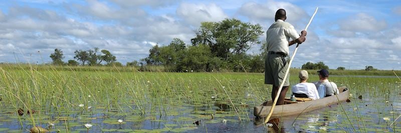Mokoro trips are a popular way of exploring the Okavango Delta