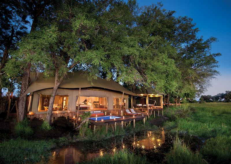 Duba Plains Camp