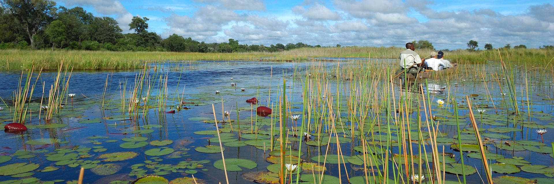Okavango Delta, Botswana