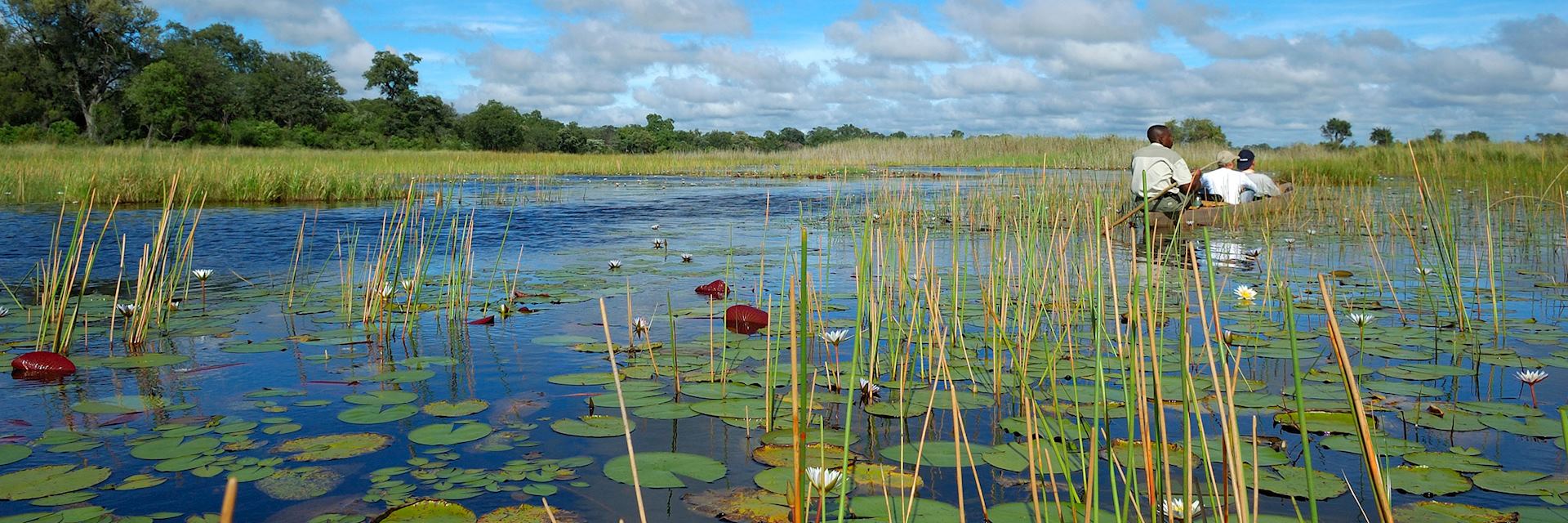 Okavango Delta, Botswana
