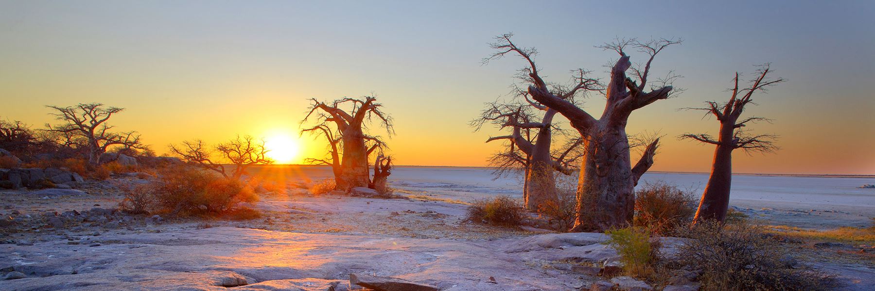 Botswana safaris & vacations
