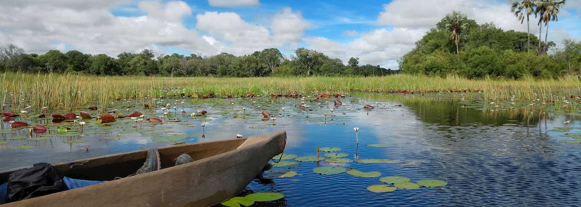 Mokoro at Xigera Concession