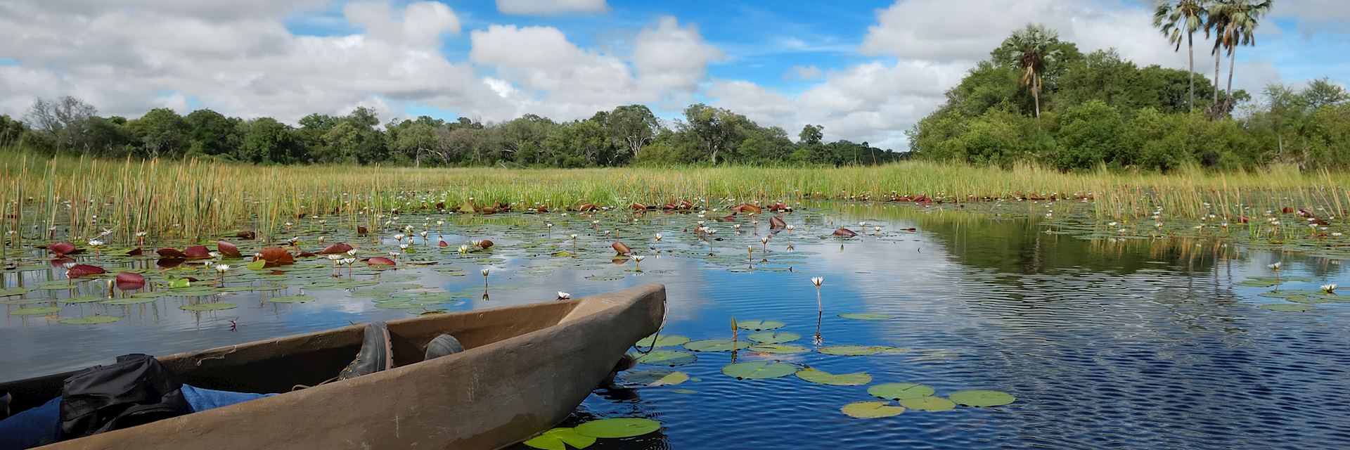 Mokoro at Xigera Concession