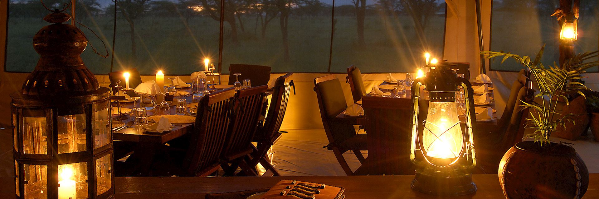 Kicheche Bush Camp, Kenya