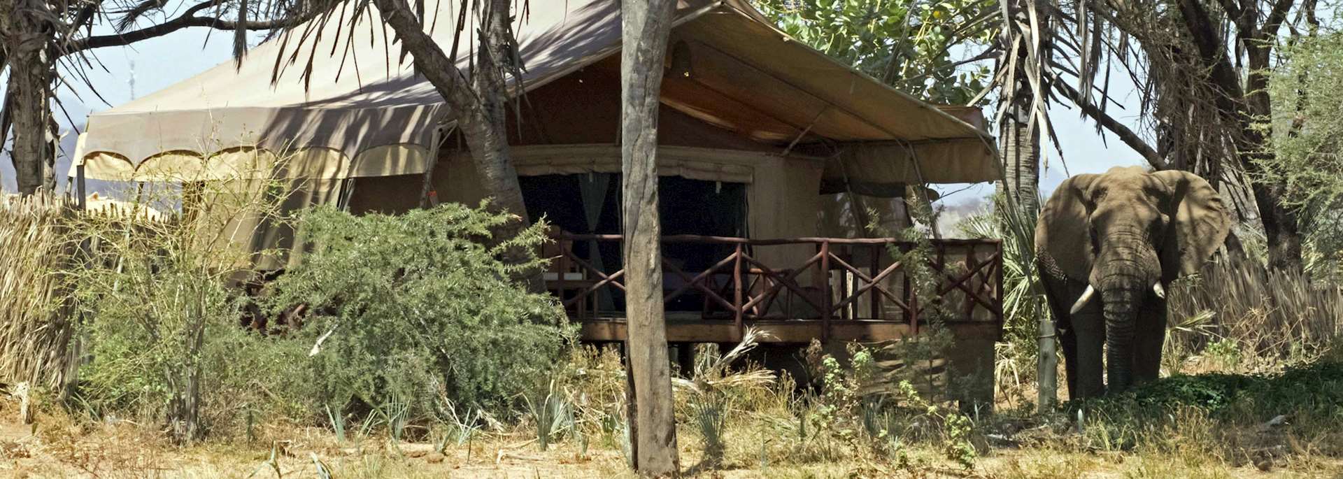 Elephant Bedroom Camp
