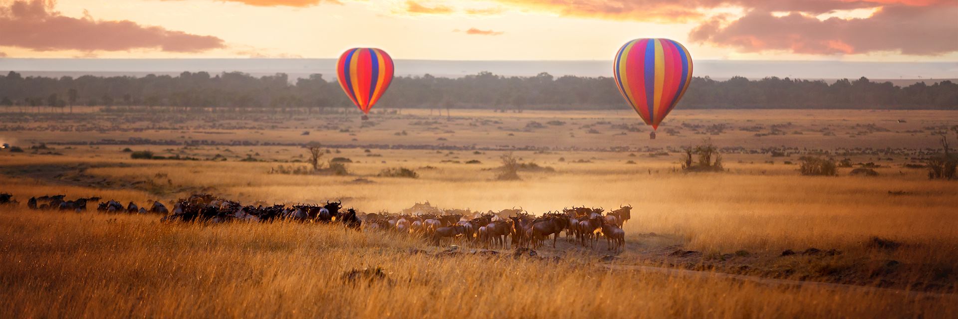 Balloon flight, Masai Mara National Reserve, Kenya