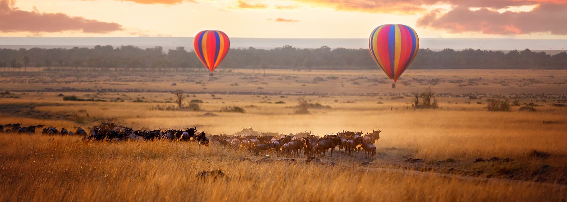 Balloon flight, Masai Mara National Reserve, Kenya