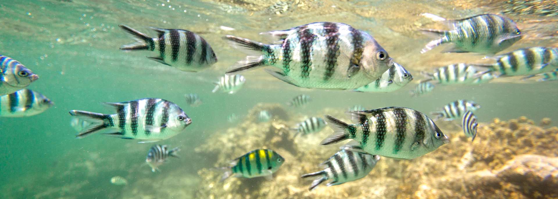 Watamu Marine National Park