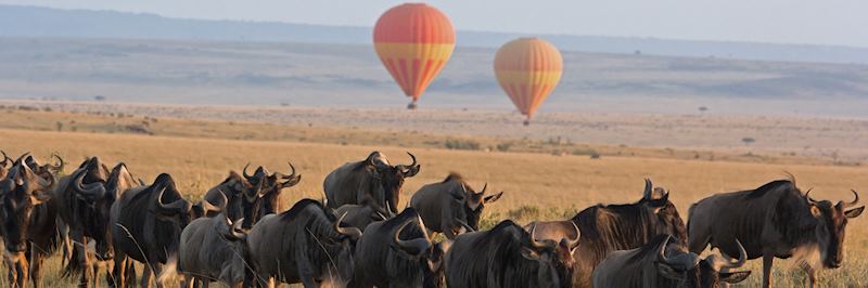 Hot air balloon safari over the Masai Mara